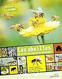 Les abeilles, de précieux insectes en danger