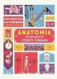 Anatomia