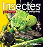 Incectes et araignées