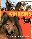 Chiens