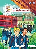 Mystery at Halewood